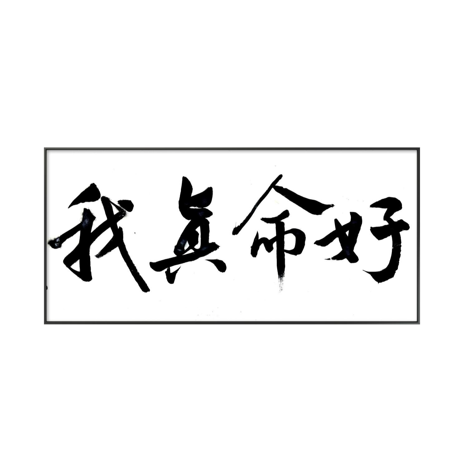 林运焘能量书法好运提醒作品 11